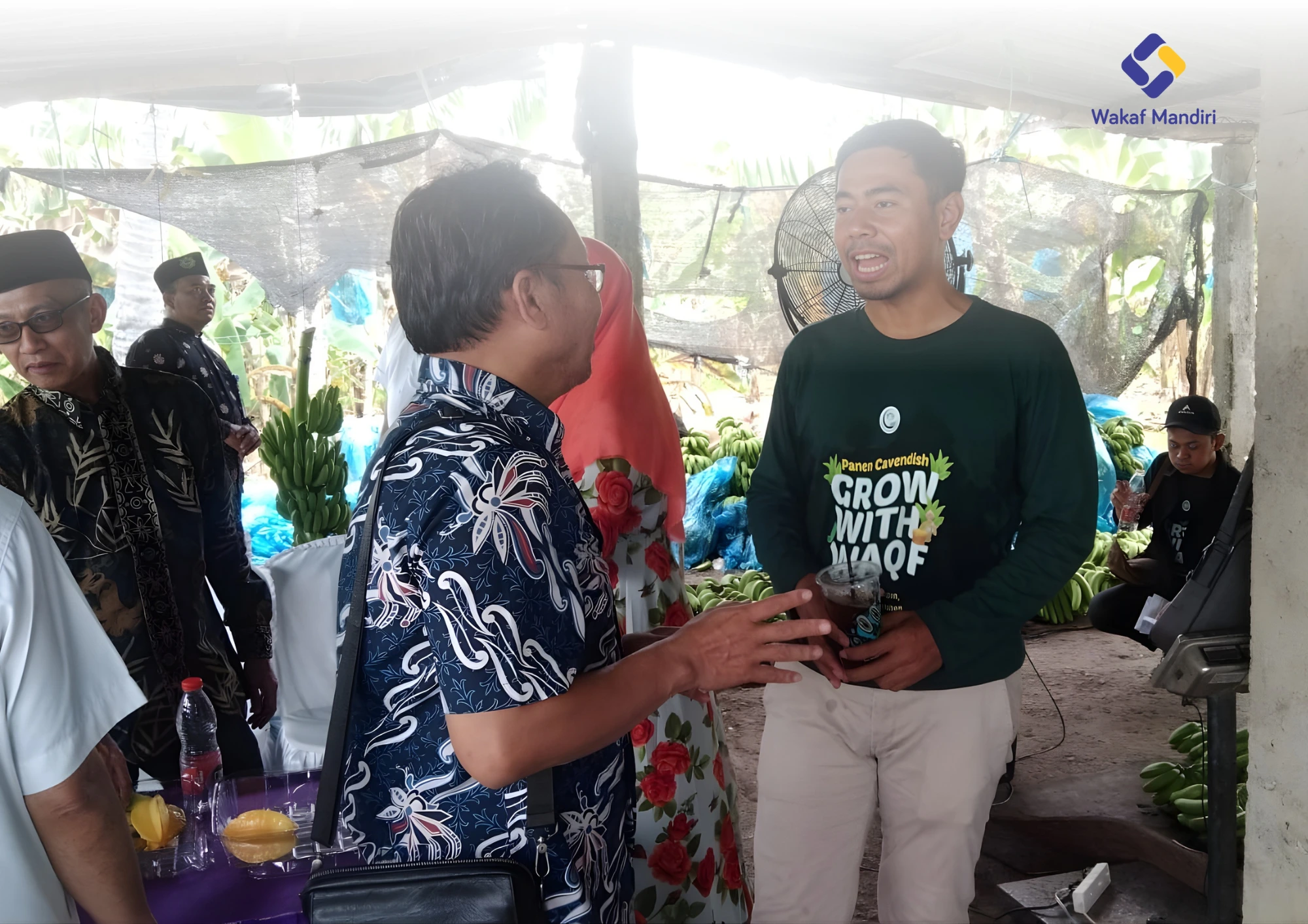  Wakaf Mandiri Hadiri Panen Raya Pisang Cavendish Dan Milad Ke-7 Gwi Di Tuban